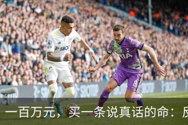 一百万元，买一条说真话的命：反诈博主"徽剑"被境外电诈势力买凶劫杀的全过程！