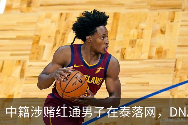 中籍涉赌红通男子在泰落网，DNA检测意外牵出新疑点