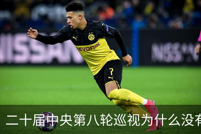 二十届中央第八轮巡视为什么没有公布巡视组名单和联系方式？