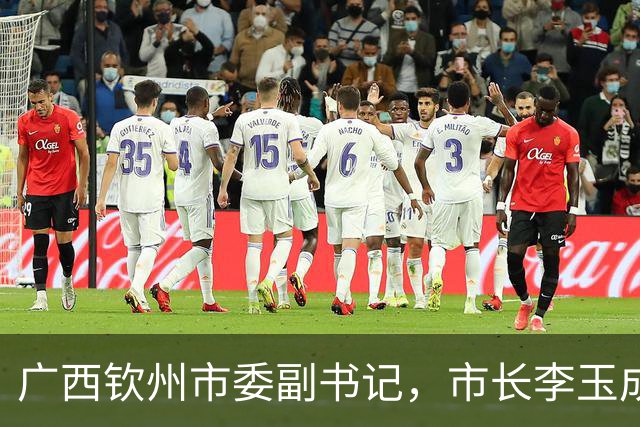 广西钦州市委副书记，市长李玉成简历