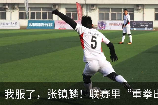 我服了，张镇麟！联赛里“重拳出击”国家队比赛却因伤避而不进！杨毅说得真没错