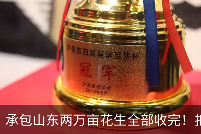 承包山东两万亩花生全部收完！扣完成本，最后利润到底有多少？