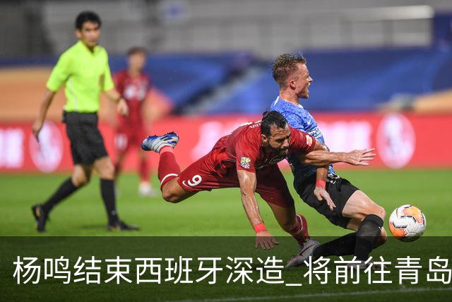 杨鸣结束西班牙深造 将前往青岛观摩男篮集训