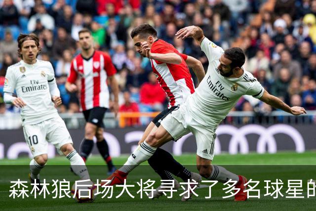 森林狼后场大将寻求了多名球星的意见，他为自己的恢复设定了期限