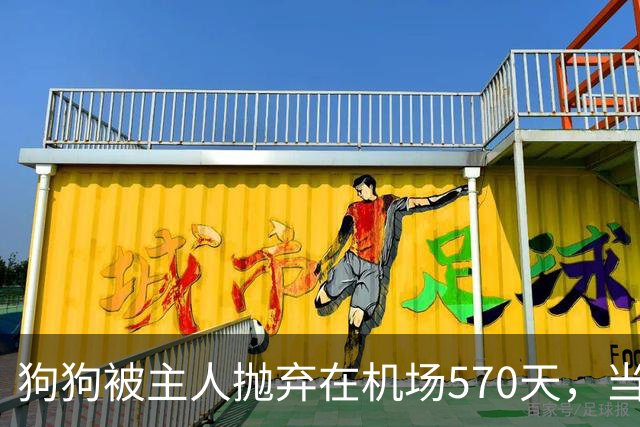 狗狗被主人抛弃在机场570天，当主人回来接它时，看哭了所有人