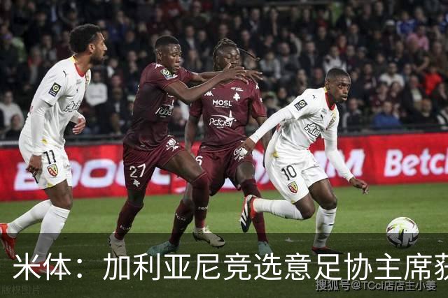 米体：加利亚尼竞选意足协主席获两大协会力挺