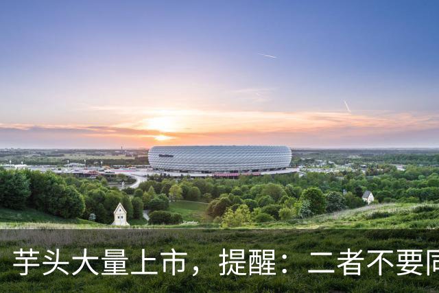 芋头大量上市，提醒：二者不要同时吃，吃芋头的禁忌，要了解清楚