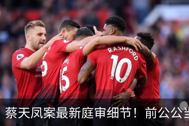 蔡天凤案最新庭审细节！前公公当众辱骂五个字，暴露全部歹毒心思