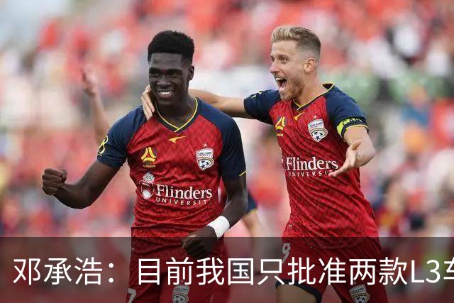 邓承浩：目前我国只批准两款L3车型 很多产品在打擦边球