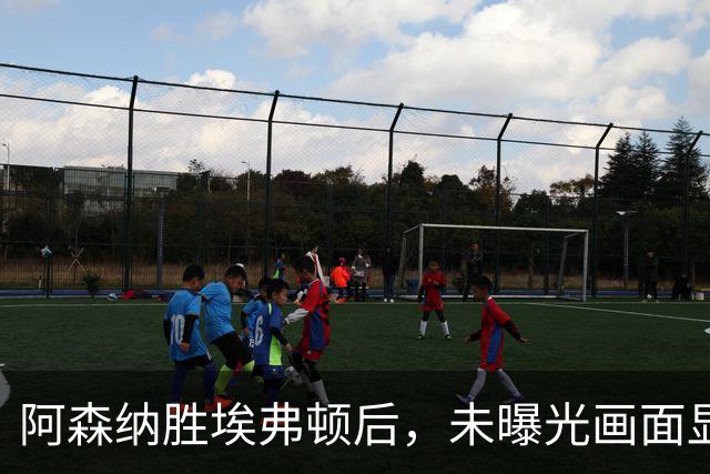 阿森纳胜埃弗顿后，未曝光画面显示赖斯比赛中途捂腿跛行离场